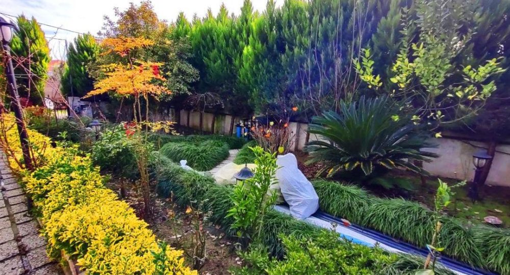 44b6bc3d-62a6-4764-afb6-32a839fd5053