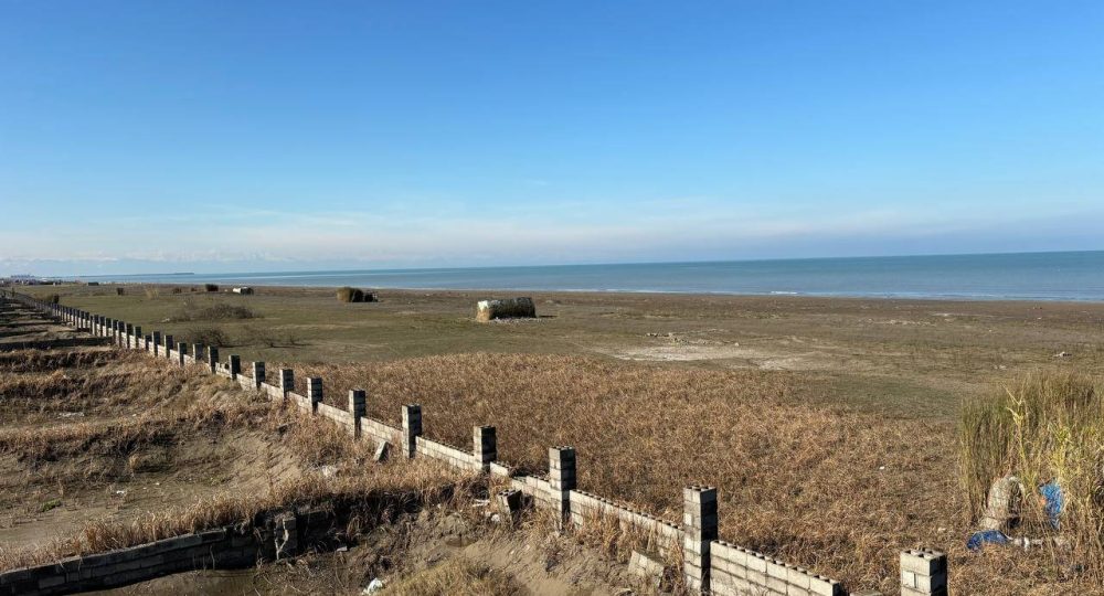 IMG_20240117_172242_892