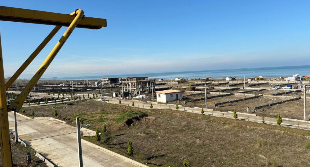 IMG_20240117_172243_303