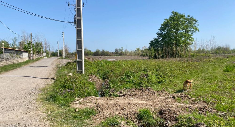 photo_2023-04-12_11-27-30