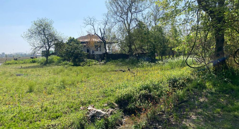 photo_2023-04-12_11-27-34