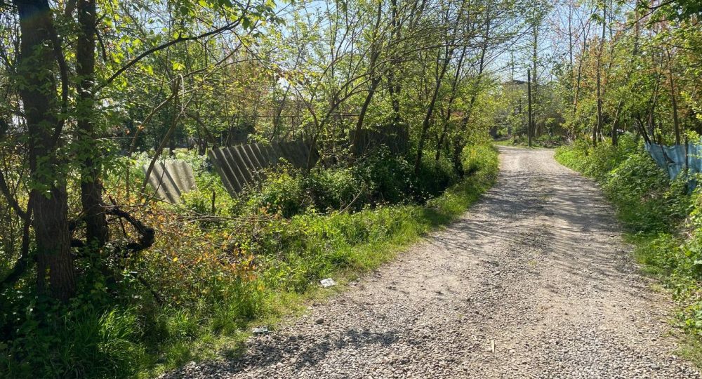 photo_2023-04-12_11-27-39